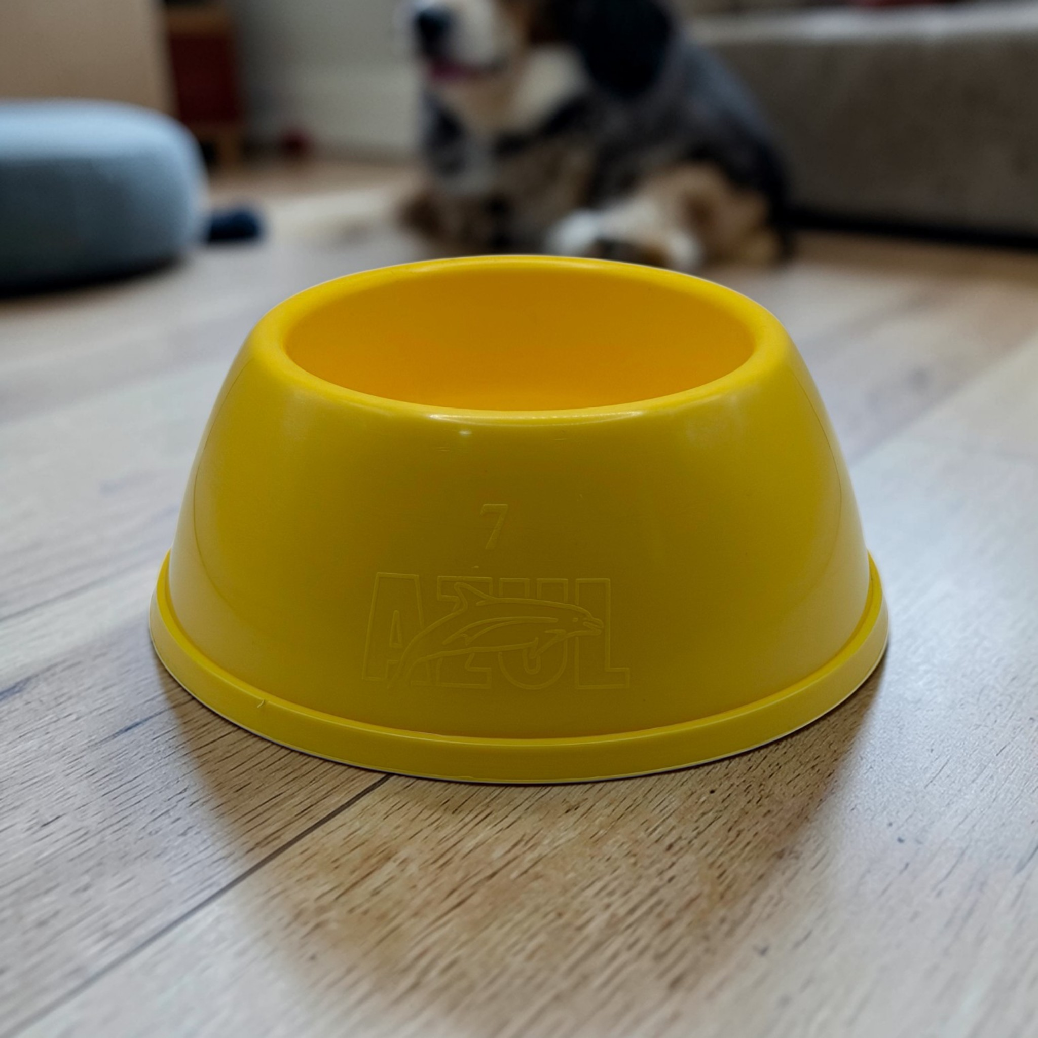 Comedero Clásico Pro-Grip Amarillo