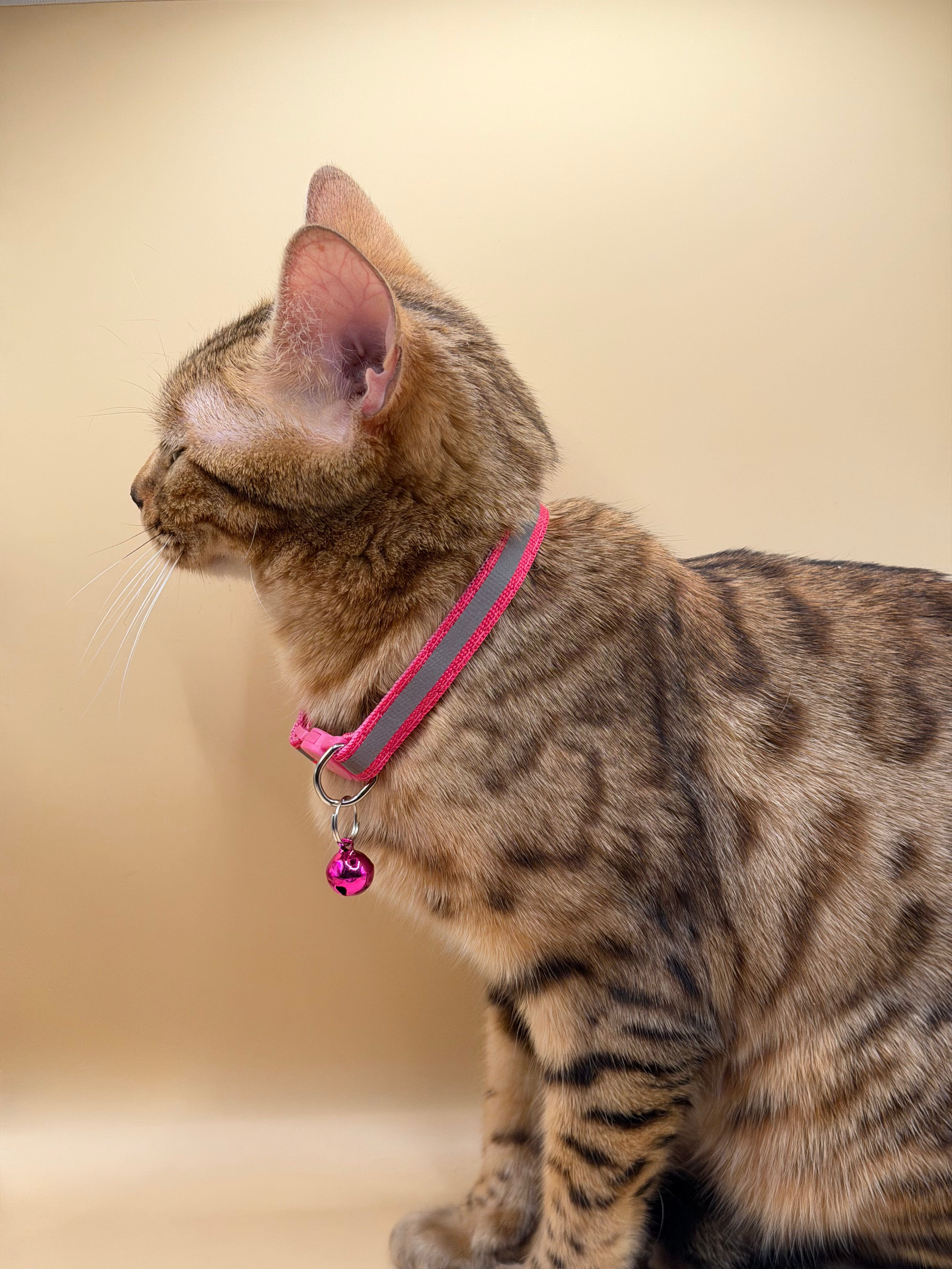 Collar para Gato Reflectante con Cascabel